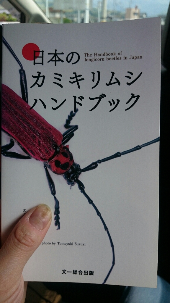 青空からのパワー。_b0334704_18060436.jpg