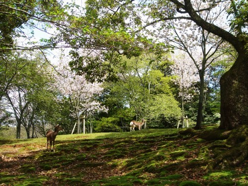 f0276510_21283611.jpg
