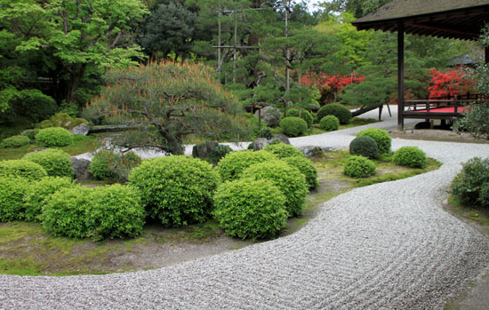 新緑とツツジ 曼殊院_e0048413_2210498.jpg