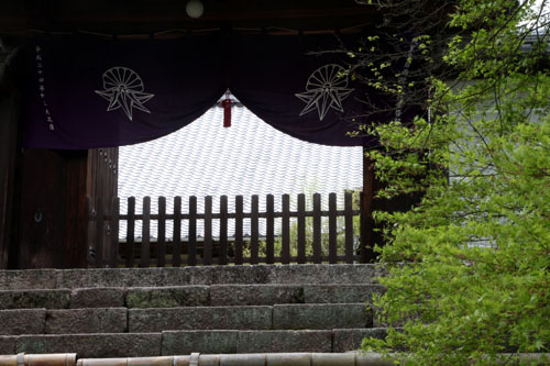 新緑とツツジ 曼殊院_e0048413_2291392.jpg