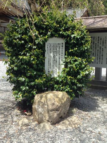 d0255514_23521895.jpg