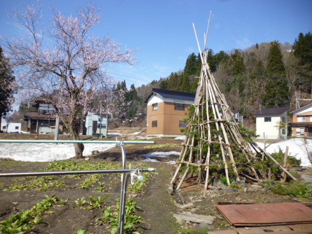 f0357714_13102718.jpg