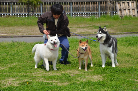 f0282915_12444527.jpg