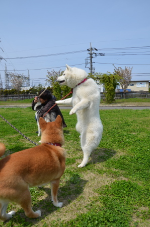 f0282915_12474528.jpg