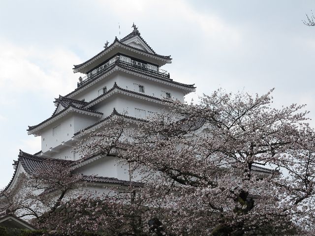 鶴ヶ城と三春の滝桜(４月１６日）_d0069623_227489.jpg