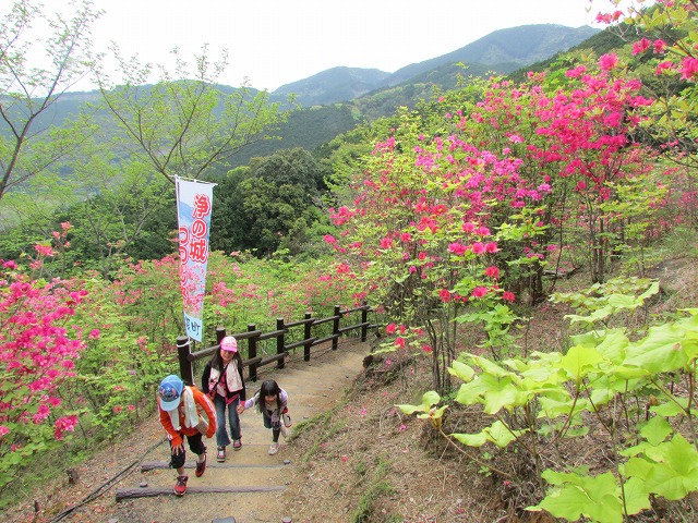 曽根・浄の城つつじ祭り・健康ウォーキングに参加（その1）_e0321325_12594443.jpg