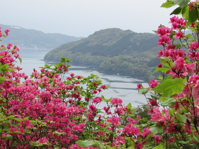 曽根・浄の城つつじ祭り・健康ウォーキングに参加（その1）_e0321325_1303936.jpg