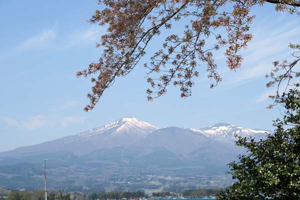 花見山公園と三春の滝桜・・・・福島県_f0147025_21274534.jpg