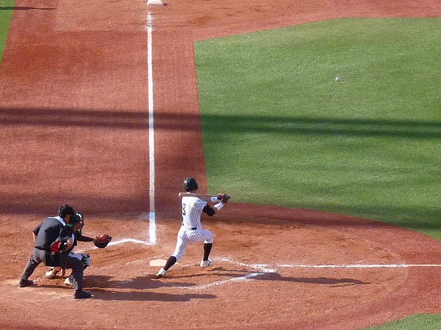 亜細亜大対専修大 4月15日 東都大学野球1部 後半_b0166128_9134548.jpg