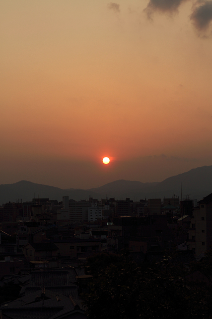 東山新緑ライトアップ －高台寺ライトアップ（前編）－_b0169330_7523650.jpg