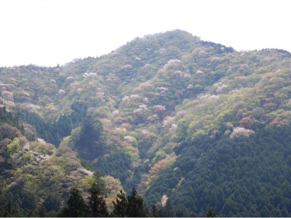 今日は奇をてらった書き方をせず普通にサイクリングの模様をお届けしよう!(4月22日の走行)_b0136045_22541610.jpg