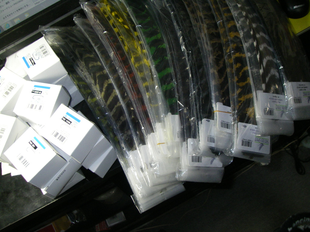 ワイルドターキーBクイル 入荷致しました。_e0029256_1184022.jpg