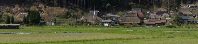 里山の春 美山かやぶきの里・北村_b0063958_23483763.jpg