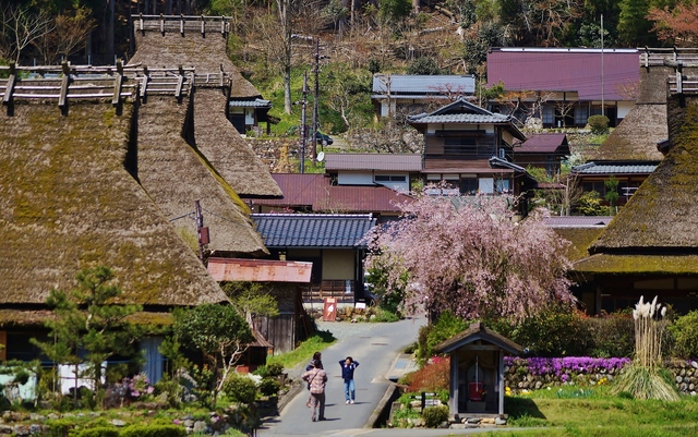里山の春 美山かやぶきの里・北村_b0063958_23511274.jpg