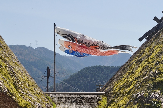 里山の春 美山かやぶきの里・北村_b0063958_23572670.jpg
