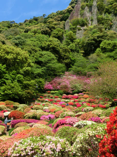 御船山楽園・満開のツツジ_f0156960_113427100.jpg