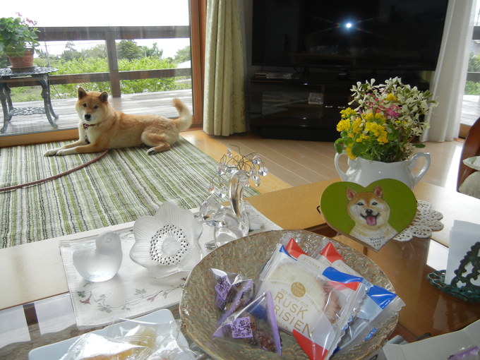 ’15,4,22(水)最初は波乱万丈な伊豆の旅!_f0060461_1381991.jpg