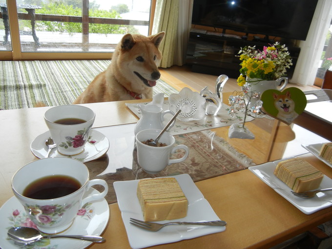 ’15,4,22(水)最初は波乱万丈な伊豆の旅!_f0060461_14295872.jpg