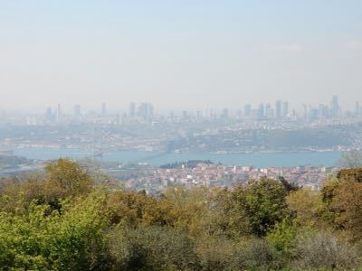 d0224362_21275.jpg