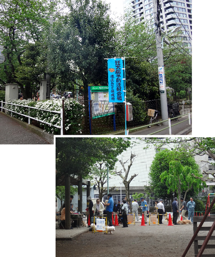 a0157174_2221219.png