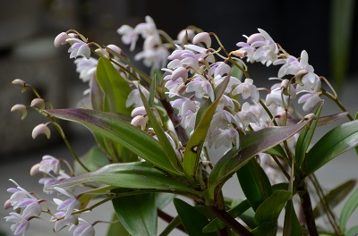 c0229483_12113510.jpg