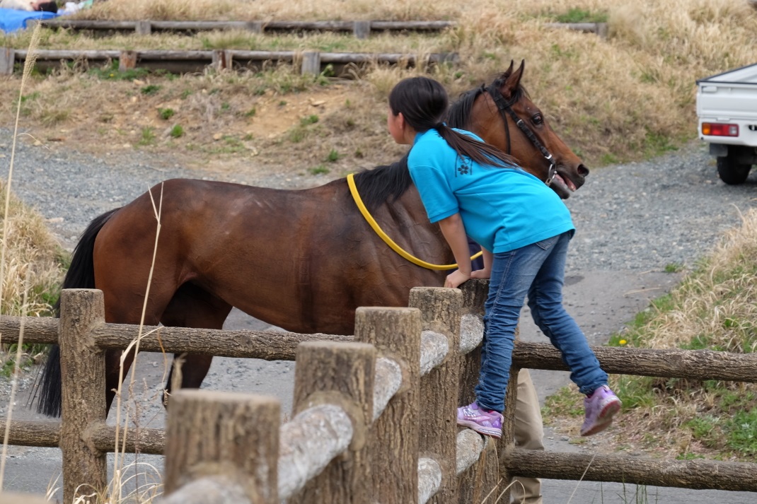 相馬野馬追振興春季競馬大会 ＜３＞　２０１５・０４・１９_e0143883_16482827.jpg