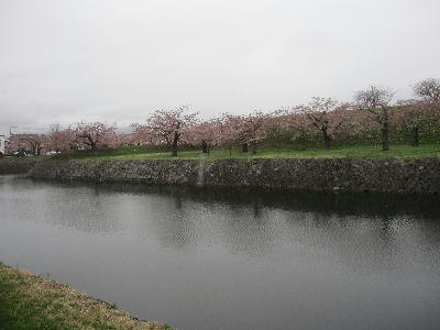 c0171889_15171264.jpg