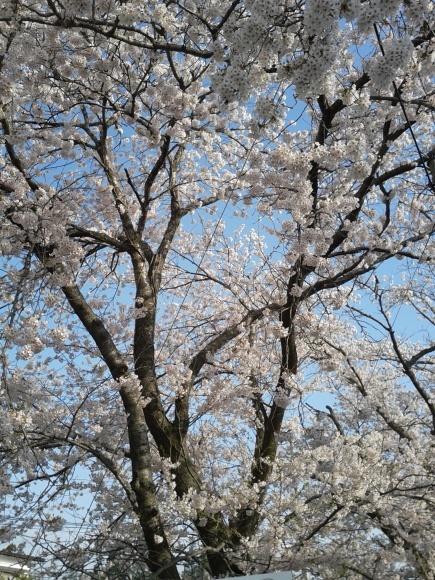 e0332697_09131469.jpg