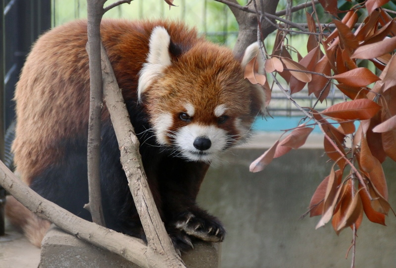 a0306502_2212476.jpg