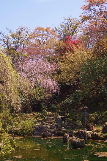 4月の旅2…橿原神宮・吉野山（2015.4.18)_b0066502_0333514.jpg