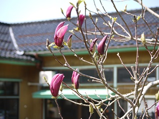 15042316:00_f0236012_161324.jpg