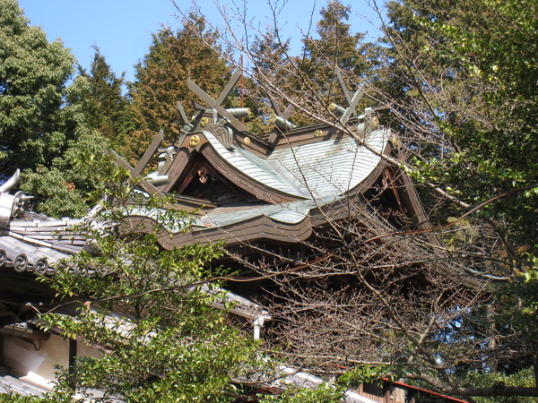 大年神社（姫路市香寺町土師）_d0287413_11354075.jpg