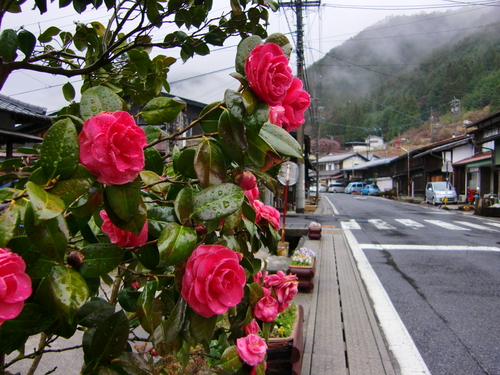 須原宿（長野県木曽郡大桑村）_c0219820_22314836.jpg