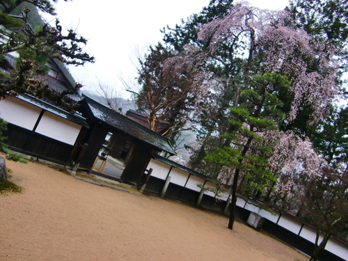 定勝寺（長野県木曽郡大桑村）_c0219820_22362041.jpg