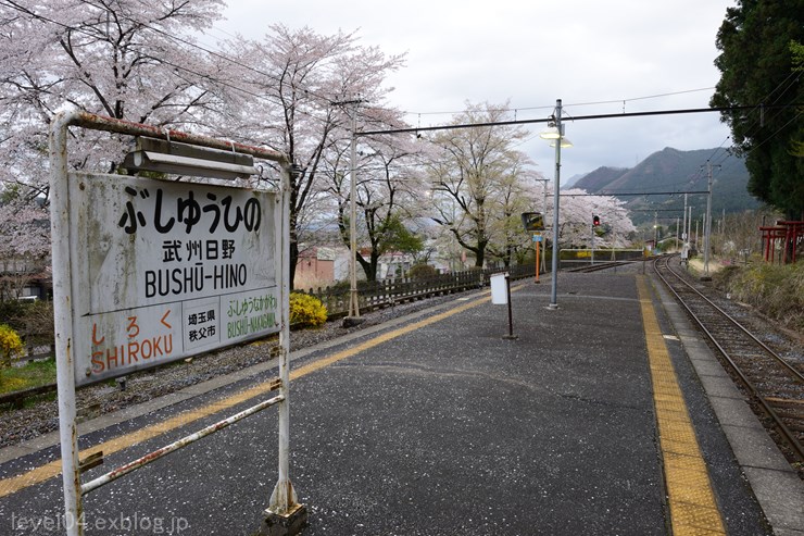 秩父 秩父鉄道 武州日野駅 桜 Photograph2 秩父 秩父鉄道 武州日野駅 桜 Photograph2