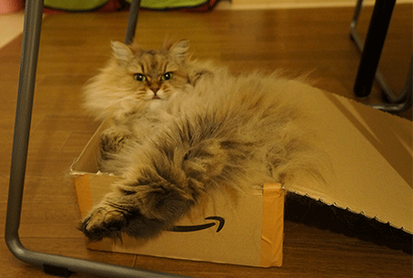e0157129_18484344.gif