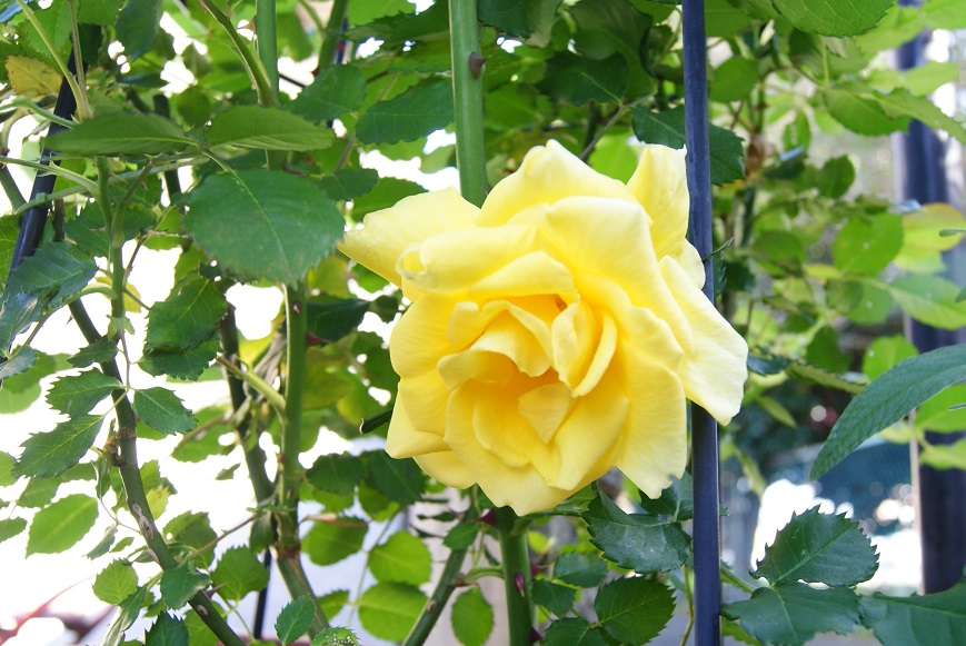 c0298740_085459.jpg