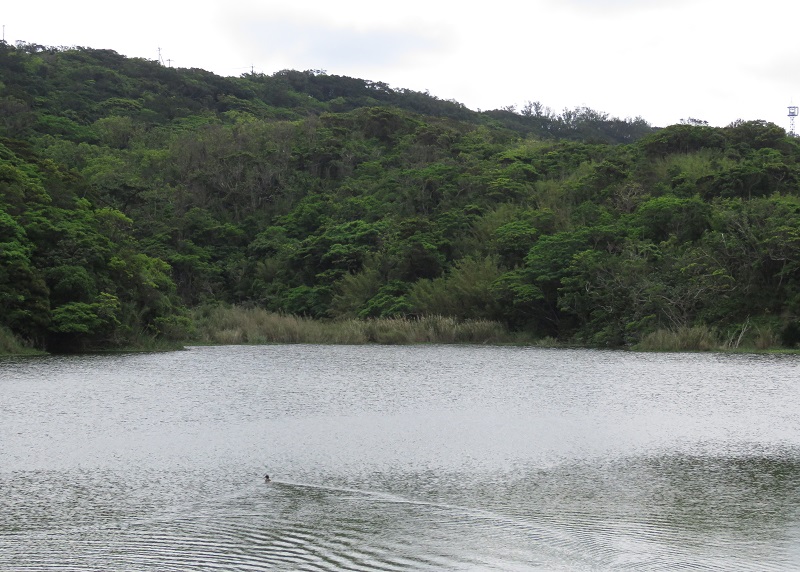 b0288942_11564884.jpg