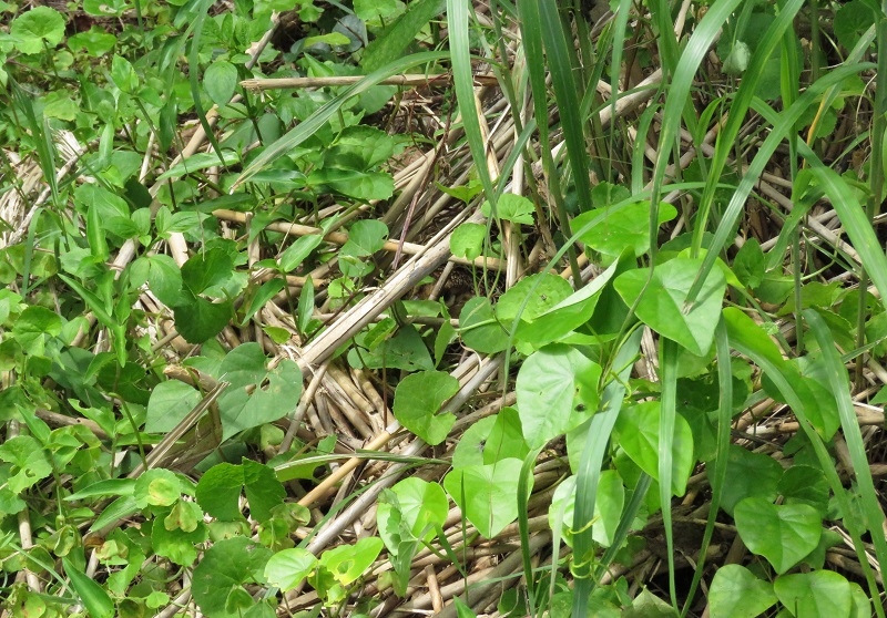 b0288942_120828.jpg