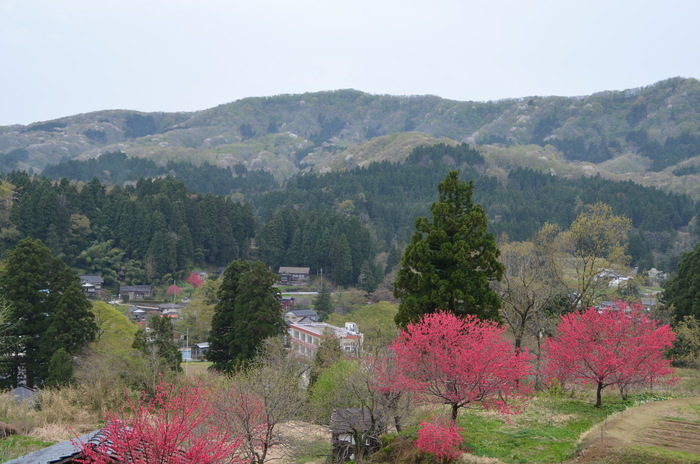 c0202242_8585871.jpg