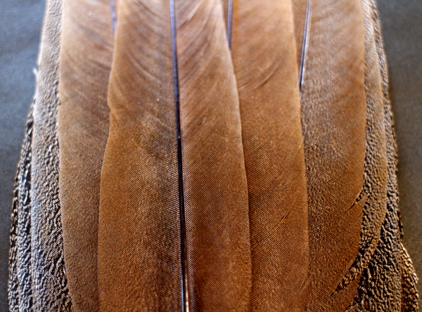 f0055244_13142169.jpg
