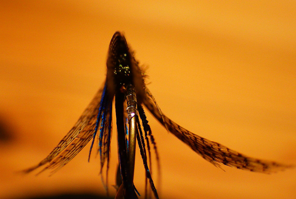 f0055244_13202851.jpg