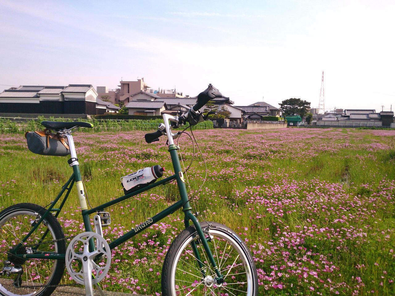 高槻市三島江レンゲの里_d0180057_1933436.jpg