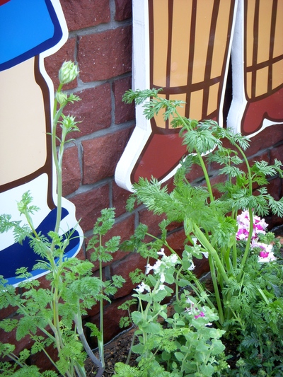 長谷川町子美術館 初夏編。。。_a0229658_11657.jpg