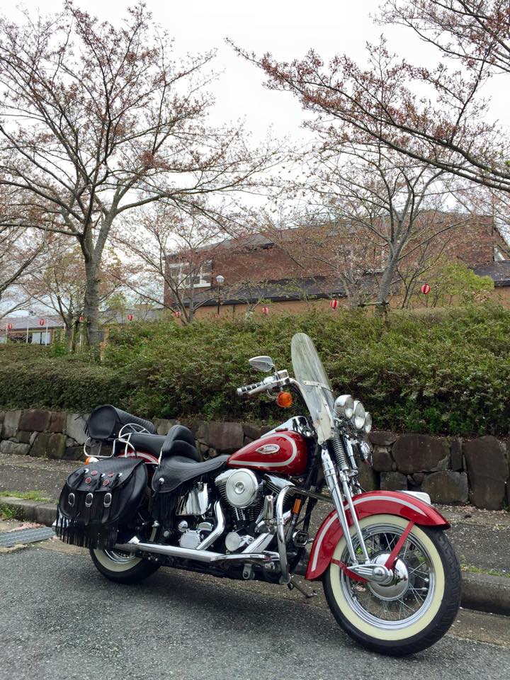 1999 ハーレー Flsts 赤 ヤフオク出品しました The 30th Freedom カワサキz ハーレー直輸入日記 1999 ハーレー Flsts 赤 ヤフオク出品しました The 30th Freedom カワサキz ハーレー直輸入日記