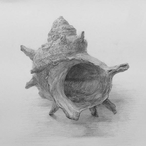 細密描写 デザイン 工芸科 芸大コース ヨゾコブ 細密描写 デザイン 工芸科 芸大コース ヨゾコブ