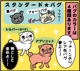 水玉パグキャラクターの秘密 ちょこっとkawaii