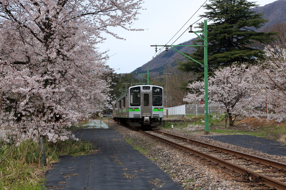 桜と電車_e0096372_06065664.jpg