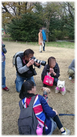 ♪ ダニエル 昭和記念公園 チューリップ見学は戦カメ付き～ヽ(*^^*)ノ ♪ 　_b0242873_23000057.png