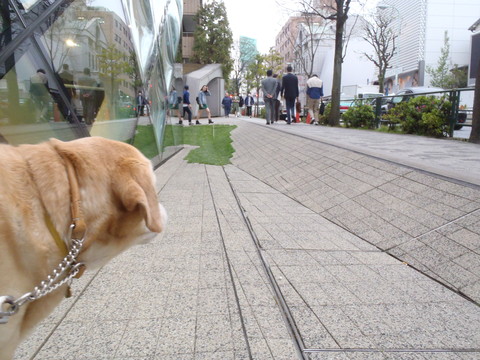 f0052277_1521686.jpg